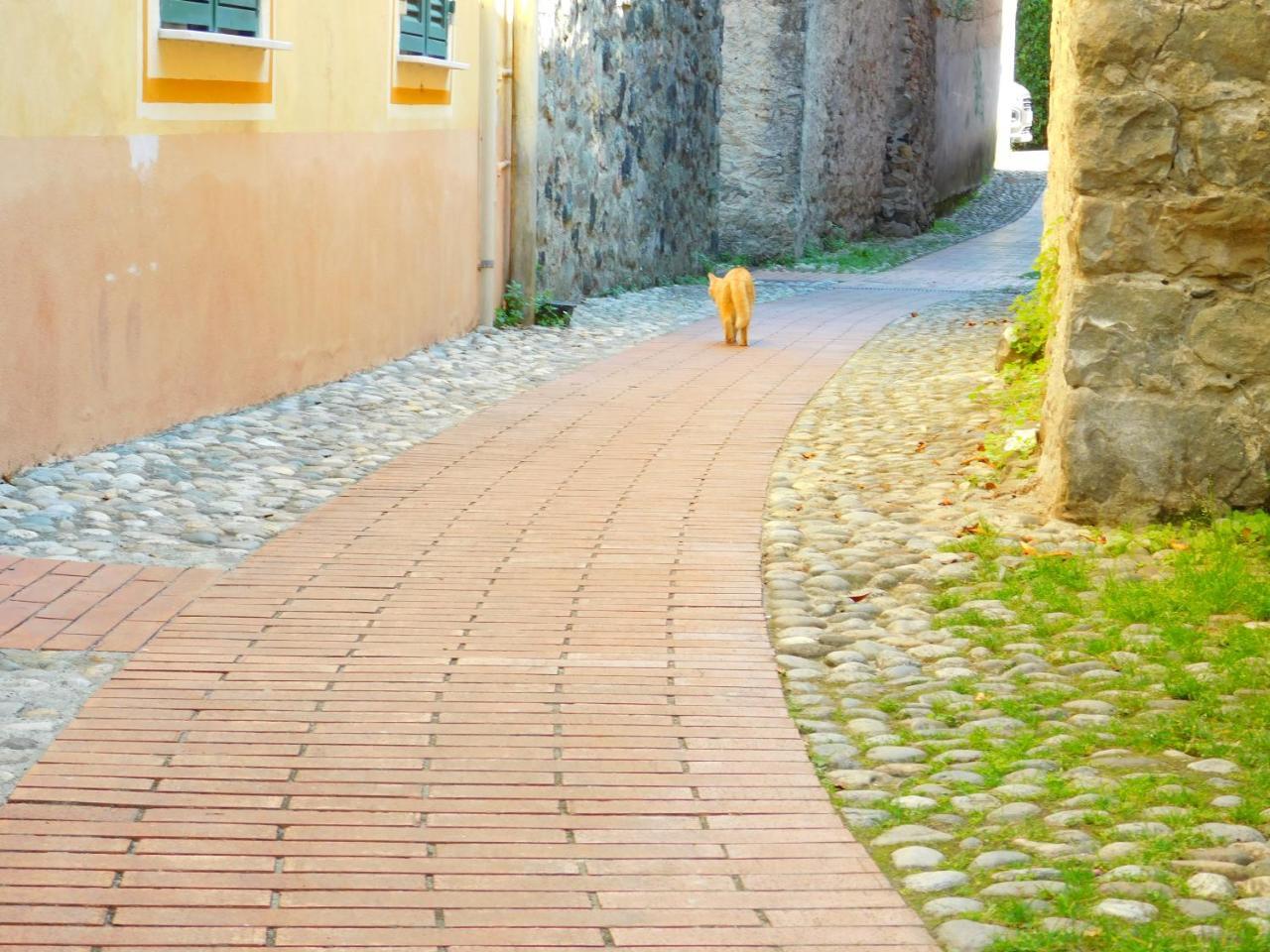 レヴァントBellissima Casa Nel Centro Storico!!!アパートメント エクステリア 写真